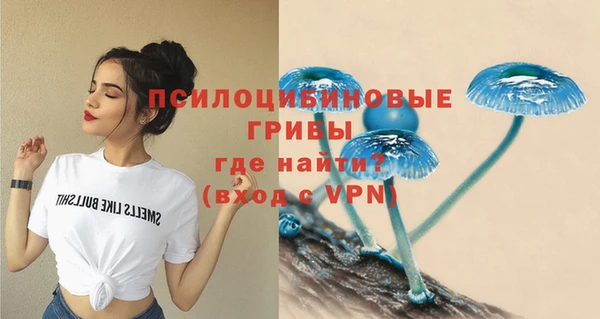 каннабис Верея