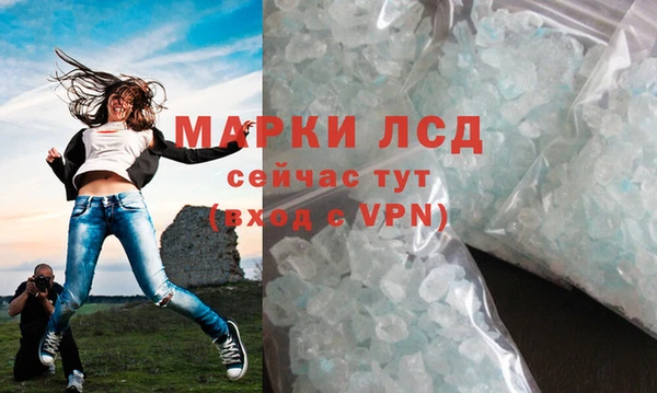 PSILOCYBIN Вязники