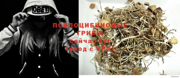 эйфоретик Вязьма