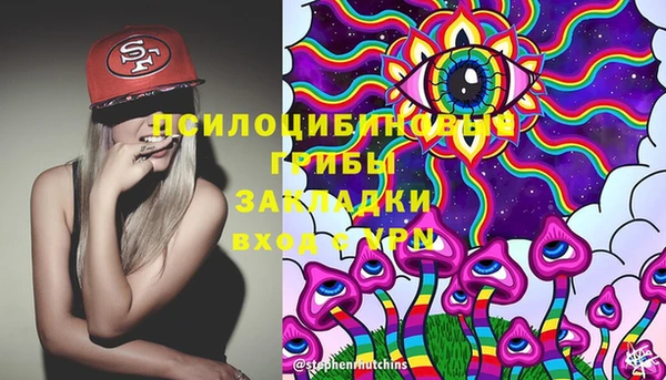 PSILOCYBIN Вязники