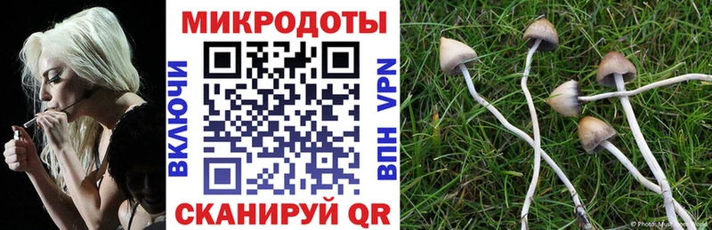 Псилоцибиновые грибы Magic Shrooms  даркнет сайт  Задонск 